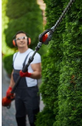 Mantenimiento de jardines, limpieza,poda,