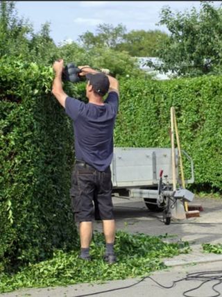 Mantenimiento de jardines, limpieza,poda,