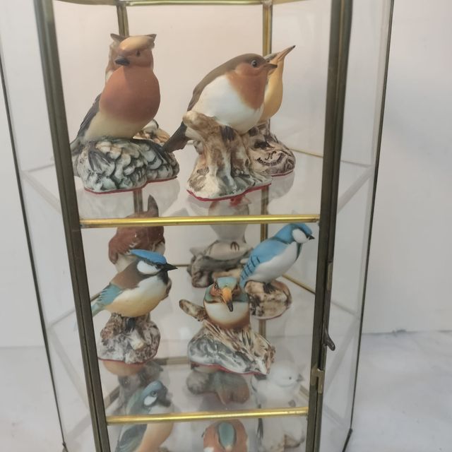 12 uccelli Capodimonte - Vetrina