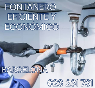 Fontanero eficiente y económico
