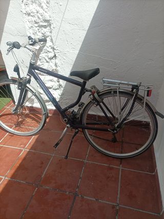Bicicleta paseo Renault Geomax 4.0
