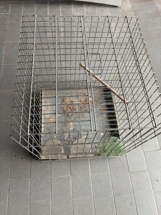 Gabbia per uccelli usata