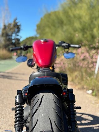 Harley Davidson Iron 883 Customizada