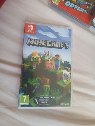 Minecraft Nintendo switch