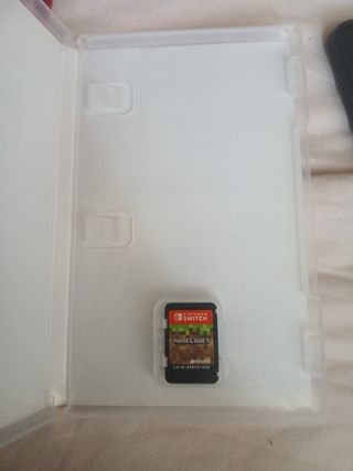 Minecraft Nintendo switch