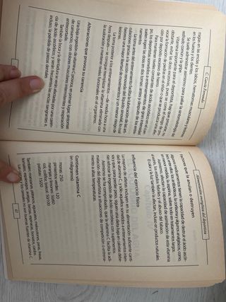 alimentacion deportistas