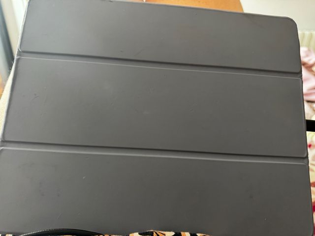 iPad Pro 12.9” 3ª Gen Gris 512gb