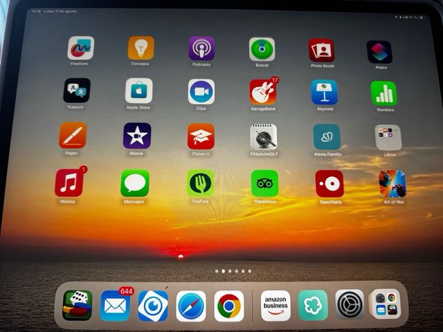 iPad Pro 12.9” 3ª Gen Gris 512gb