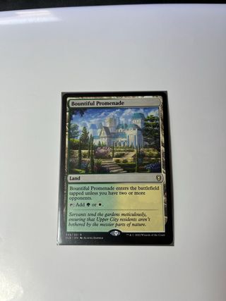 Magic: The Gathering - Paseo Abundante