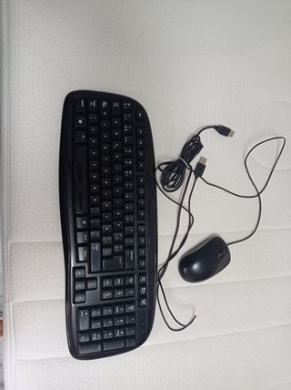 Teclado y ratón negros