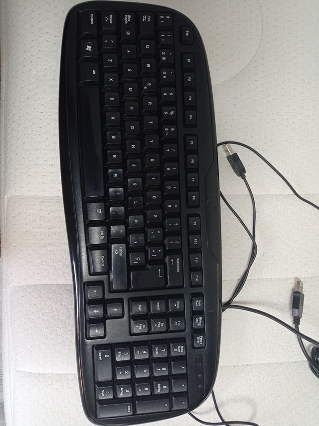 Teclado y ratón negros