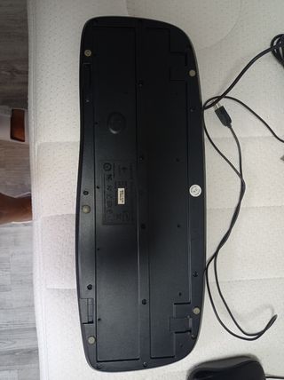 Teclado y ratón negros