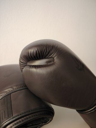 Guantes boxeo Danger 16oz 