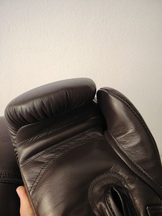 Guantes boxeo Danger 16oz 