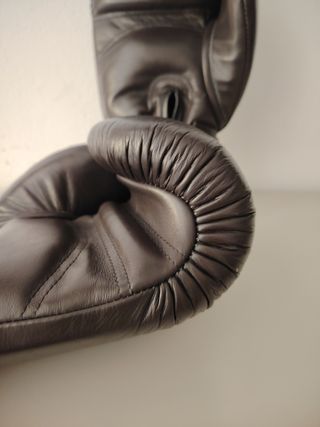 Guantes boxeo Danger 16oz 