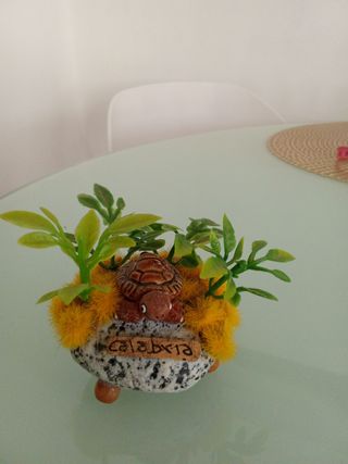 Souvenir Calabria: Tartaruga