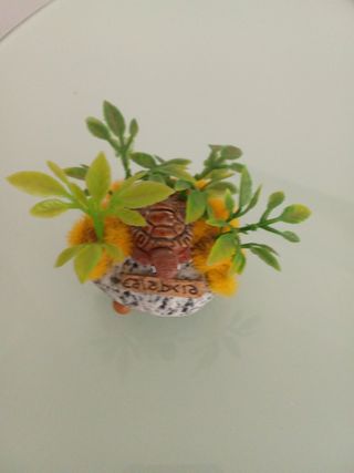 Souvenir Calabria: Tartaruga