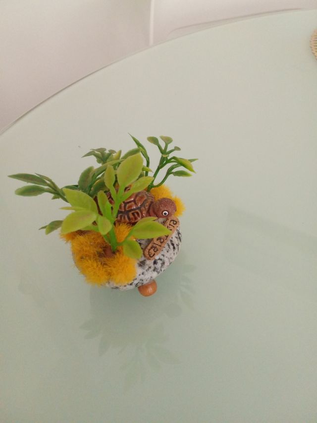 Souvenir Calabria: Tartaruga