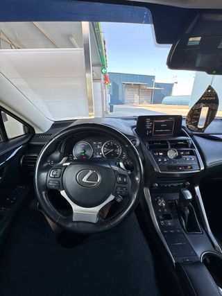 Lexus NX 2020