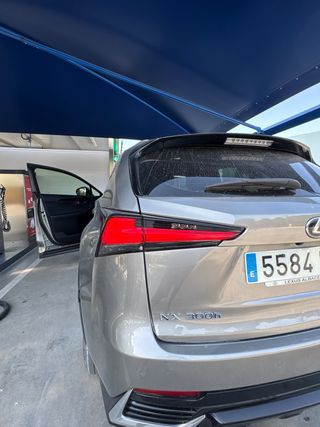 Lexus NX 2020