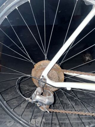 Bicicleta Carretera Specialized Talla S