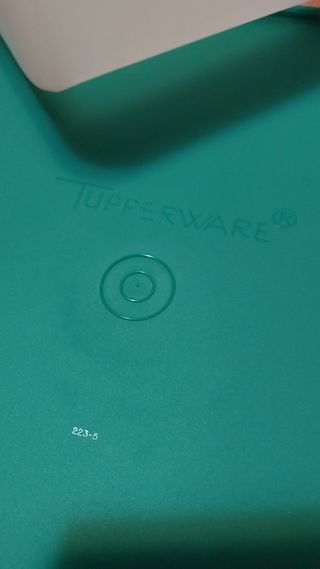 Tupperware: Contenitore 30x30 con Griglie