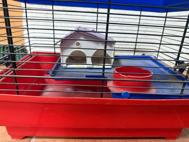 Jaula hamster azul y roja