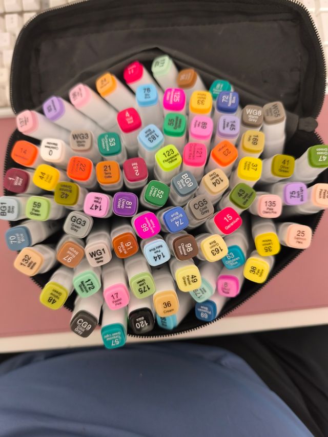 80 Rotuladores punta doble