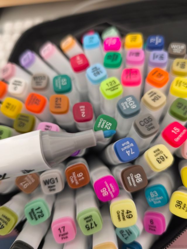 80 Rotuladores punta doble