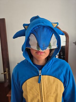 Sudadera Sonic niño talla 14-16, marca Sega
Sega