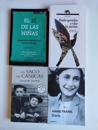 Lote de libros