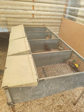 Jaula o jaulon 4 departamentos