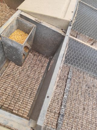 Jaula o jaulon 4 departamentos