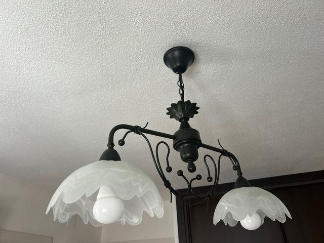 Lámpara techo 2 luces - Negra