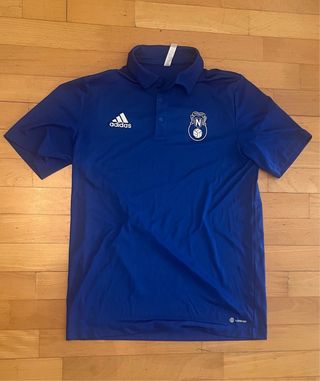 Chándal Adidas azul