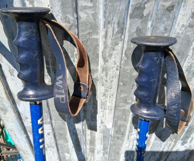 Esquís Salomon Radian + Bastones