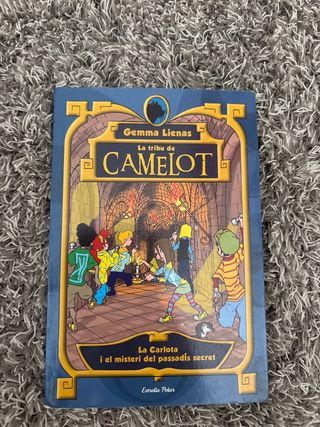 2. La Carlota i el misteri del passadís secret