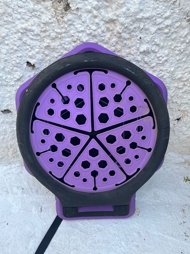 Canasta baloncesto Kipsta The Hoop