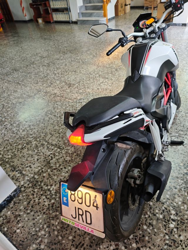 Benelli BN 251 - Moto