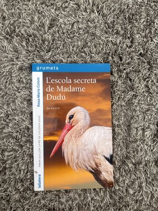 L'escola secreta de madame Dudú (Grumets) (Cata...