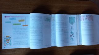 Lingual Galega e Literatura 1 ESO