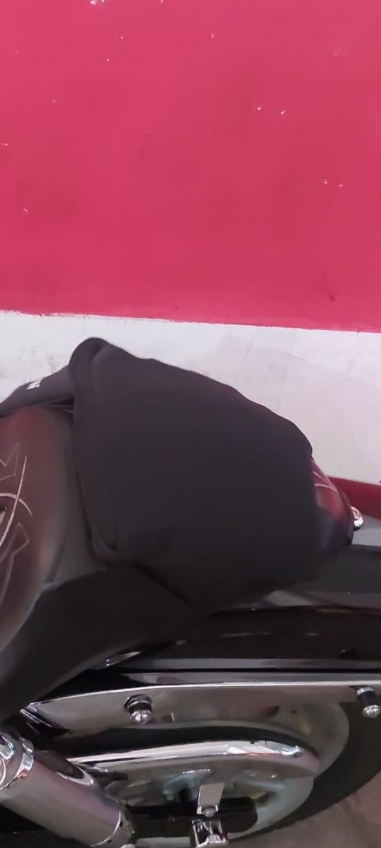 Cuscino aria Harley Davidson