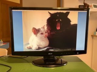 Monitor Acer 23" LCD negro