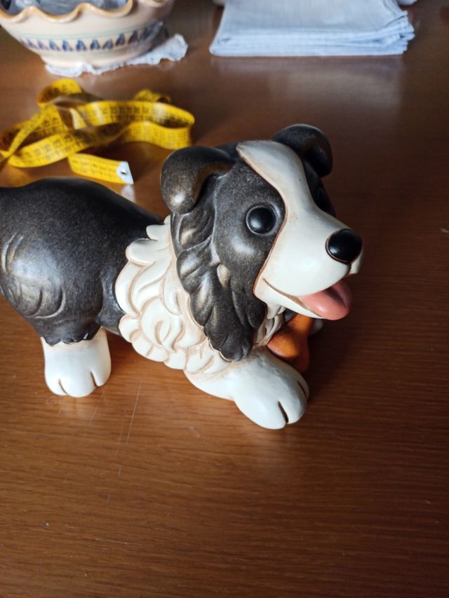 Cane Border Collie Thun