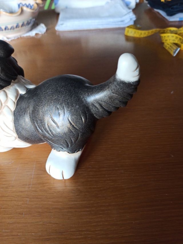 Cane Border Collie Thun