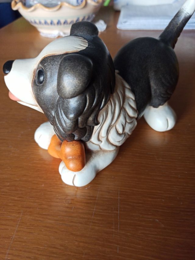 Cane Border Collie Thun