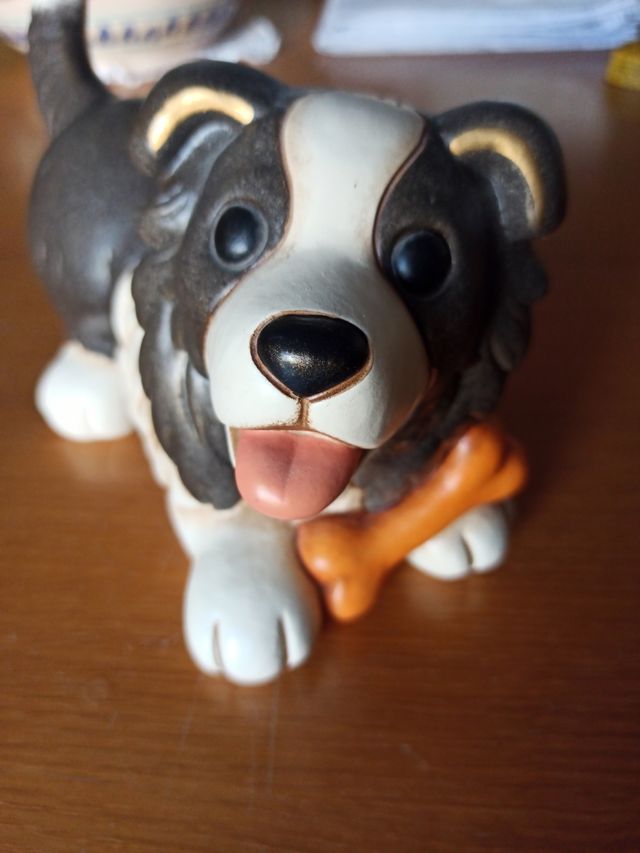 Cane Border Collie Thun