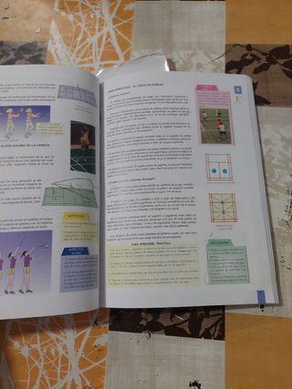 Educación física, ESO, 1 ciclo
