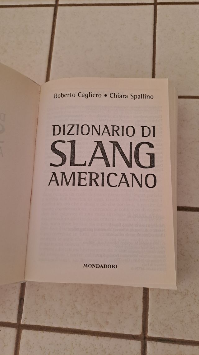Dizionario di slang americano