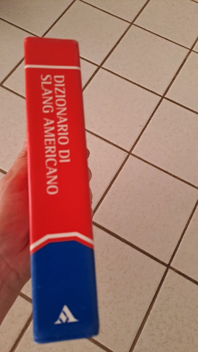 Dizionario di slang americano